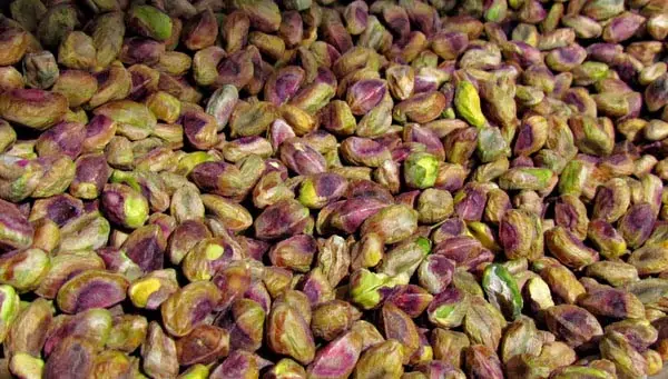 مغز پسته ماتیکی سورت شده با کیفیت بالا