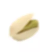 دانه پسته