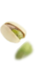 دانه پسته