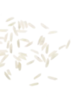 برنج