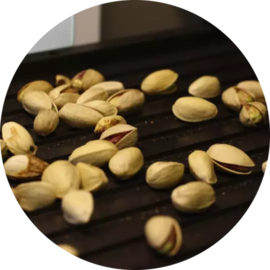 ویدیوی معرفی دستگاه سورتر پسته
