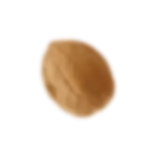 گردو