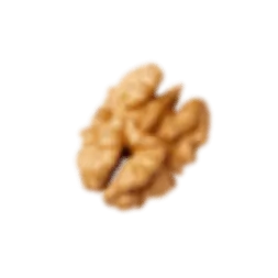 گردو