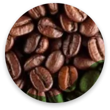 قهوه اکسلکسا