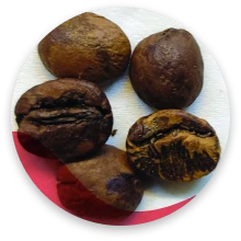 قهوه روشن