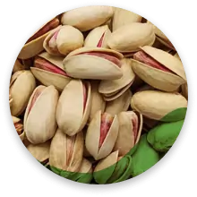 پسته اکبری