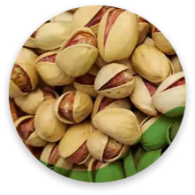 پسته فندقی