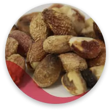 پسته گو