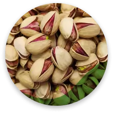 پسته کله قوچی