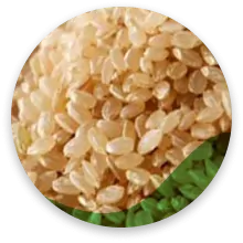 برنج قهوه ای