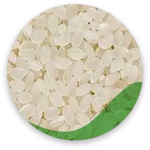 برنج گرد