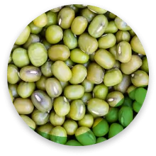 ماش