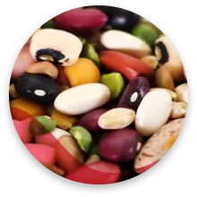 ورود حبوبات دیگر به محصول
